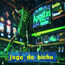 jogo do bicho crash bingo